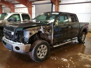 2013 FORD All Models