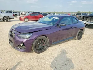 2024 BMW MOTORRAD M2