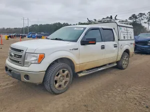 2013 FORD F150