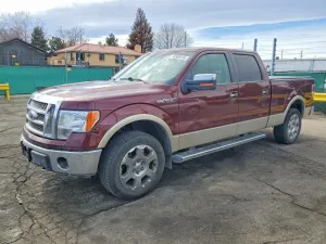 2010 FORD F-150