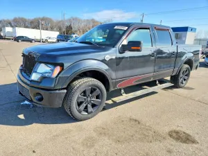 2010 FORD F-150