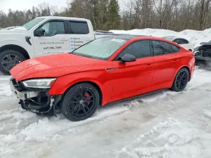 2019 AUDI S5/RS5
