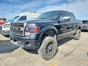2010 FORD F-150