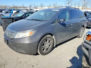 2013 HONDA All Models