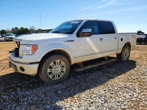 2010 FORD F-150