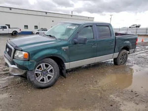 2007 FORD F-150