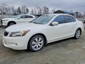 2010 HONDA ACCORD