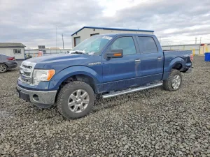 2013 FORD F150