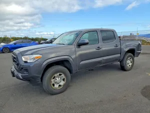 2023 TOYOTA All Models