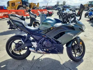 2025 KAWASAKI EX650 P