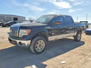 2010 FORD F-150