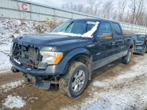 2012 FORD F-150