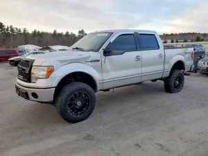 2010 FORD F-150