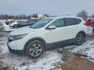 2019 HONDA CRV