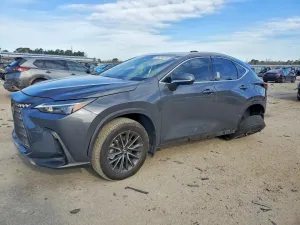 2024 LEXUS NX 250 BAS