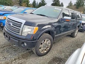 2009 FORD F-150