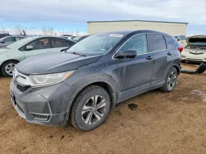 2019 HONDA CRV