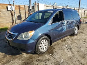 2010 HONDA All Models