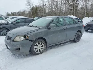 2010 TOYOTA COROLLA