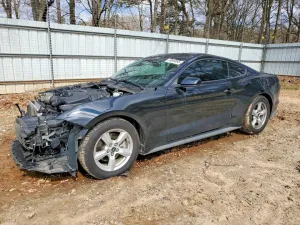 2019 FORD ALL Models