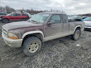 2004 DODGE DAKOTA