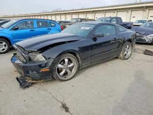 2014 FORD ALL Models