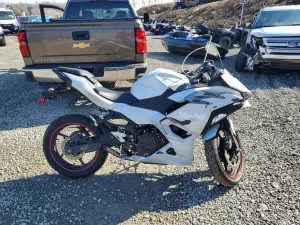 2025 KAWASAKI NINJA 500