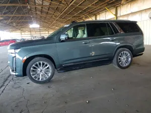 2024 CADILLAC ESCALADE