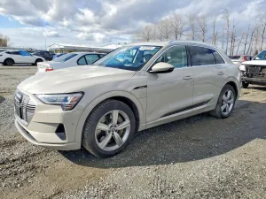 2019 AUDI E-TRON