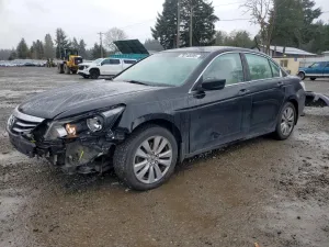 2011 HONDA ACCORD