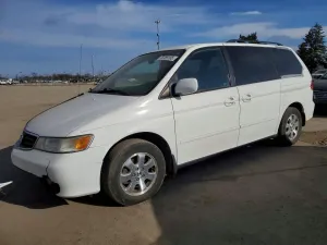 2004 HONDA All Models