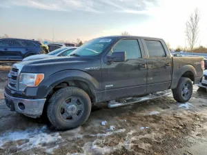 2010 FORD F150