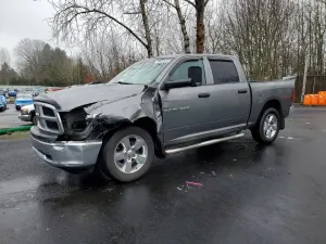 2011 DODGE All Models