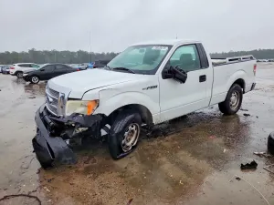 2010 FORD All Models