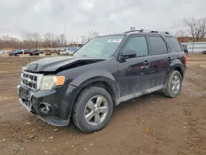 2010 FORD ESCAPE
