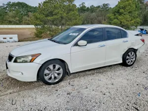 2010 HONDA ACCORD