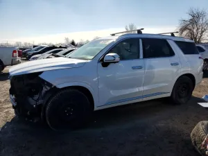 2020 HYUNDAI PALISADE