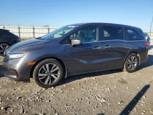 2023 HONDA ODYSSEY