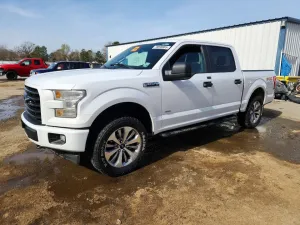 2017 FORD All Models