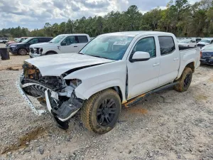 2021 TOYOTA All Models