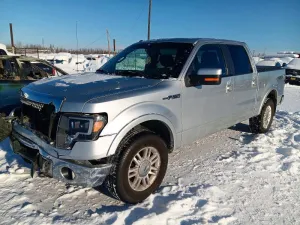 2010 FORD F150