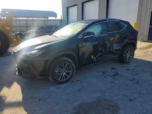 2024 LEXUS NX 250
