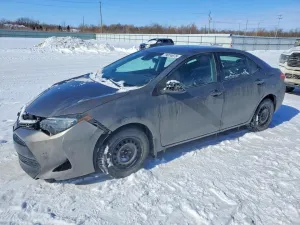 2019 TOYOTA COROLLA