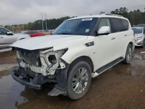 2019 INFINITY QX80