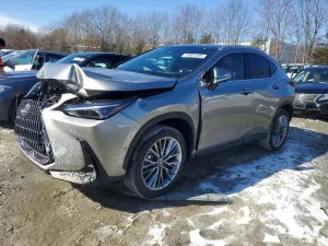 2026 LEXUS NX