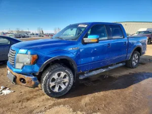 2011 FORD TRUCK/VAN F-150