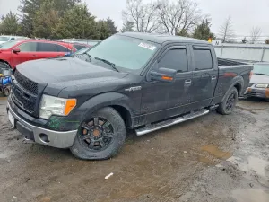 2010 FORD F-150