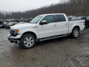 2011 FORD F-150