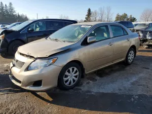 2009 TOYOTA COROLLA