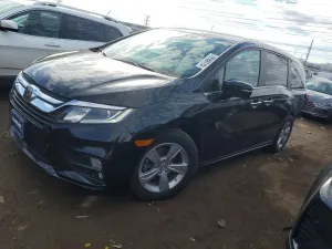 2019 HONDA All Models